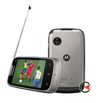 Motorola MotoGo TV — catalog service
