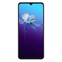Vivo V20 — catalog service