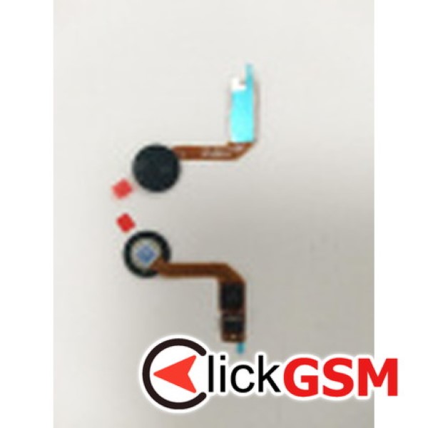 Buton Amprenta