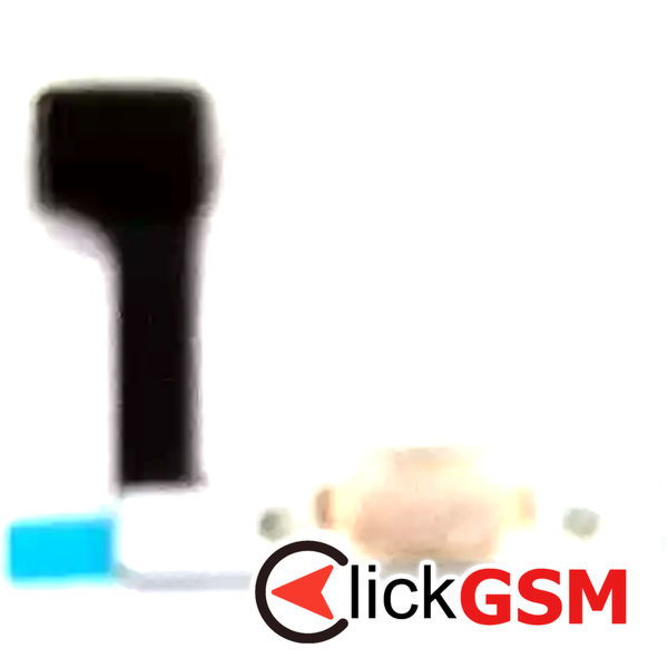 Buton