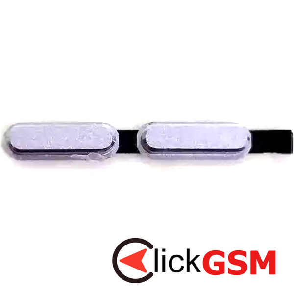 Buton Lateral