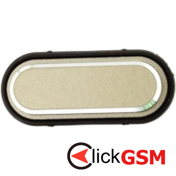 Buton Lateral
