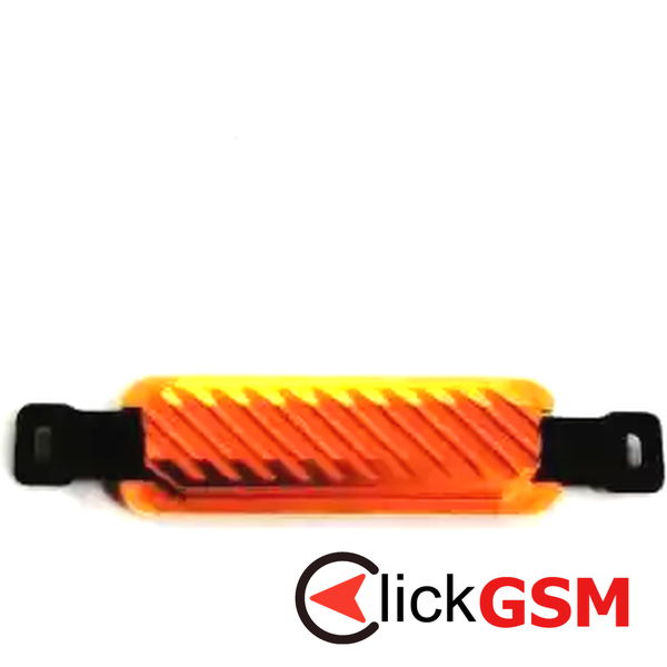 Buton Lateral