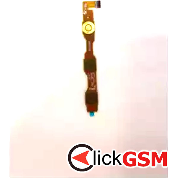 Buton Pornire