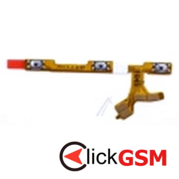 Buton Pornire