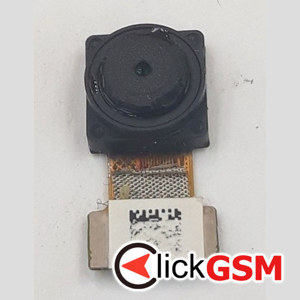 Camera Fata