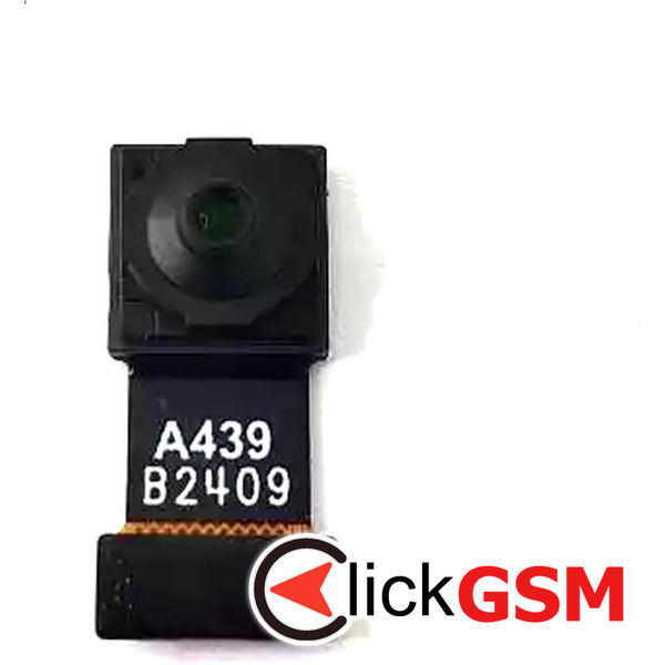 Camera Fata