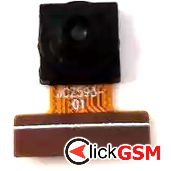 Camera Fata
