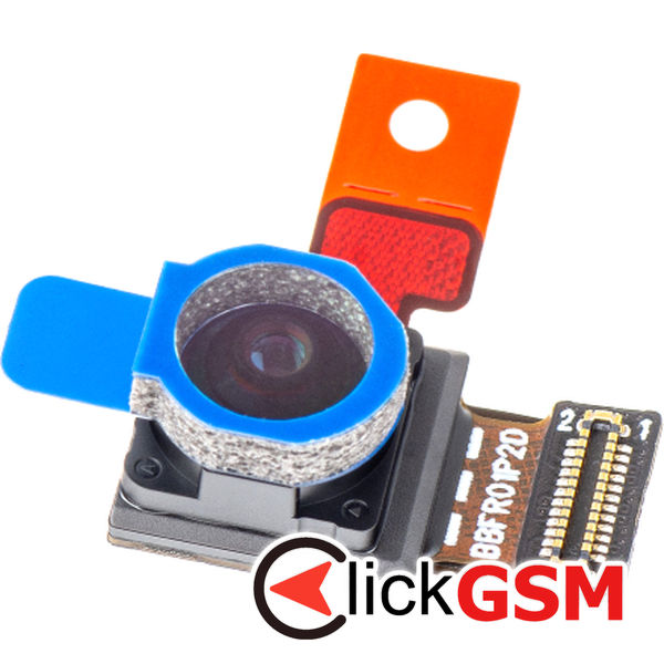 Camera Fata