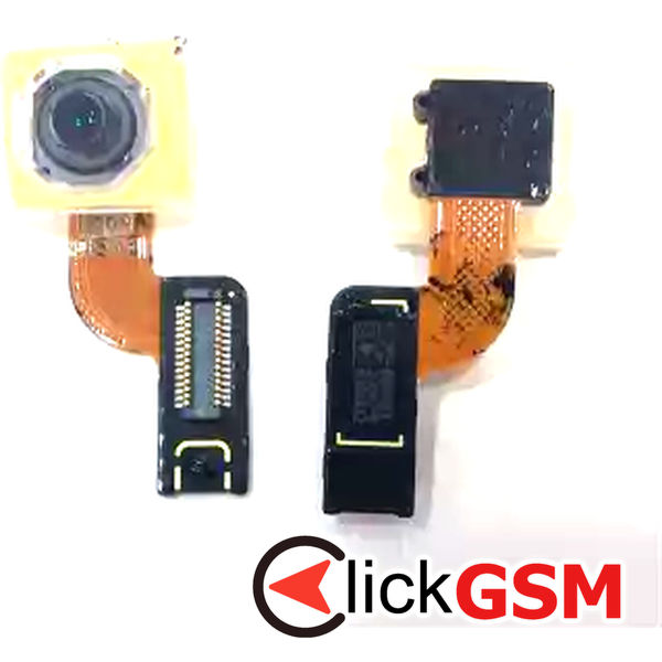 Camera Fata