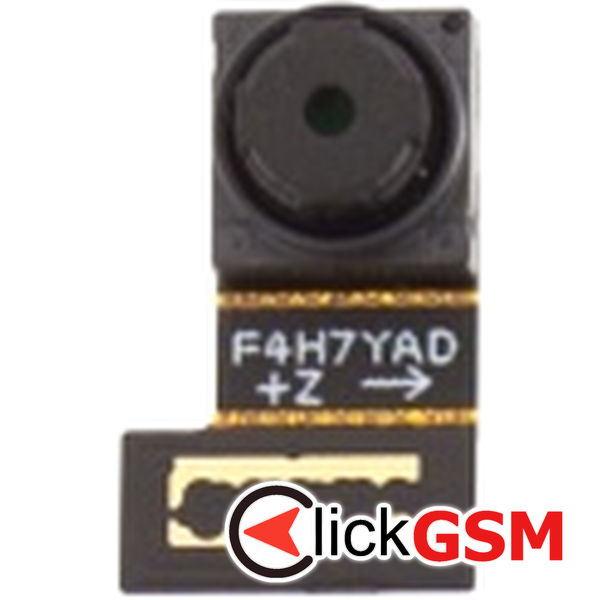 Camera Fata