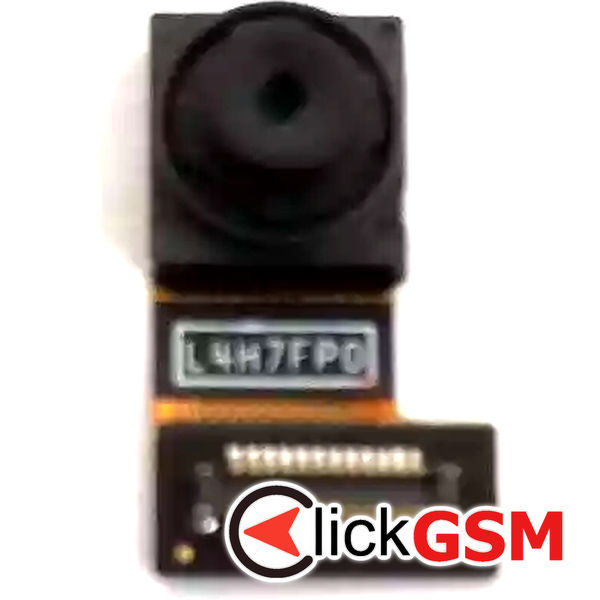 Camera Fata