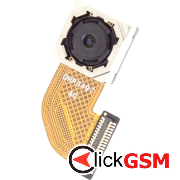 Camera Fata