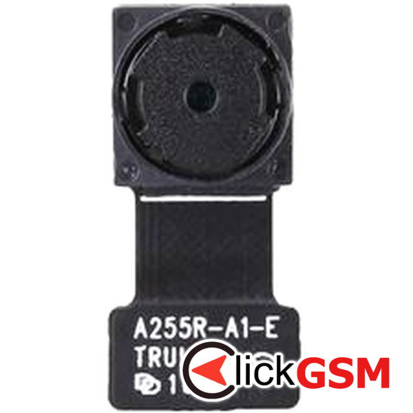 Camera Fata