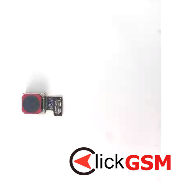Camera Fata