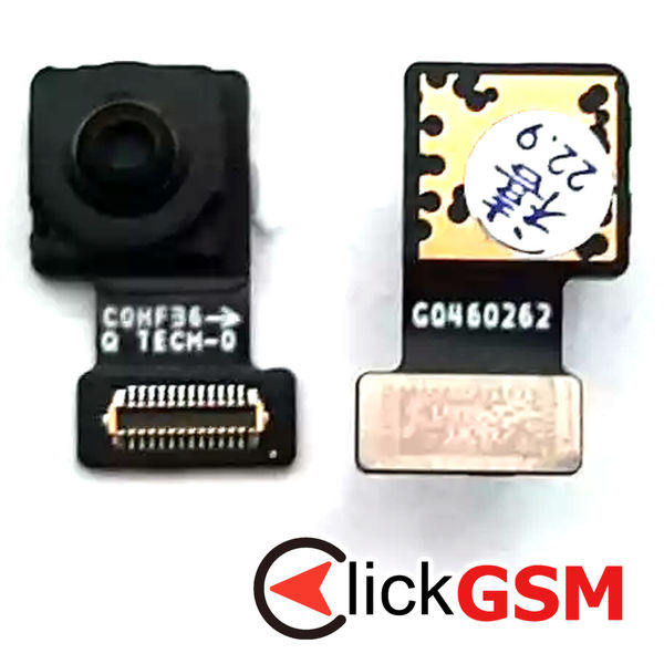 Camera Fata