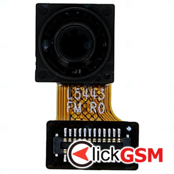 Camera Fata