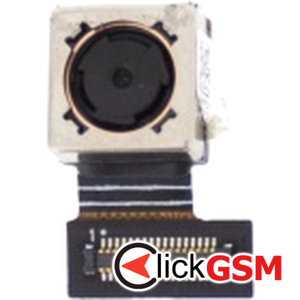 Camera Fata