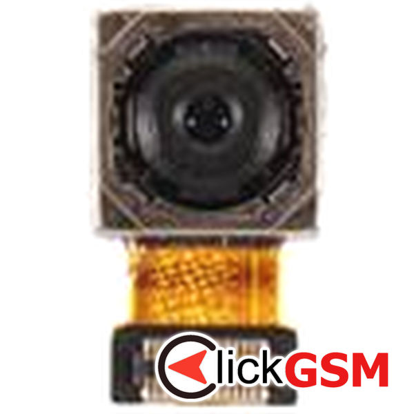 Camera Fata