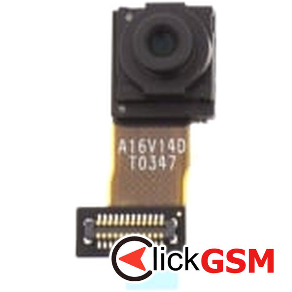 Camera Fata