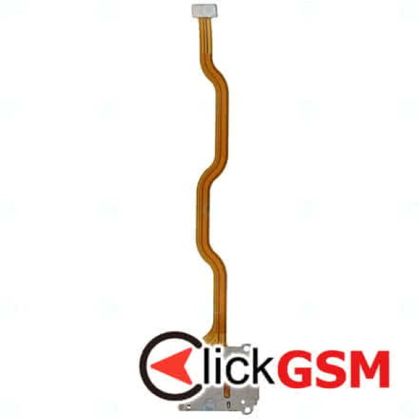 Cititor Sim