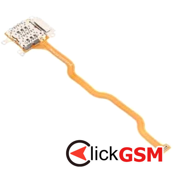 Cititor Sim