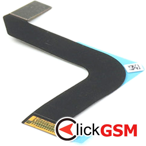 Conector Placa