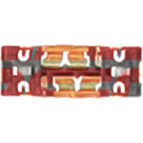 Conector Placa