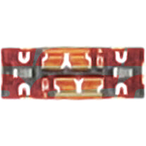Conector Placa
