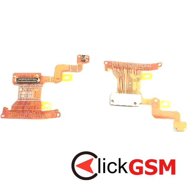 Conector Placa