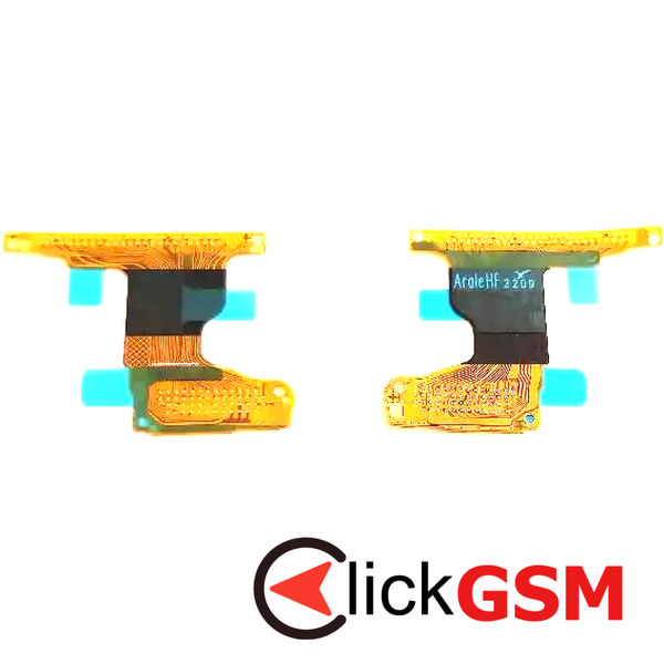 Conector Placa