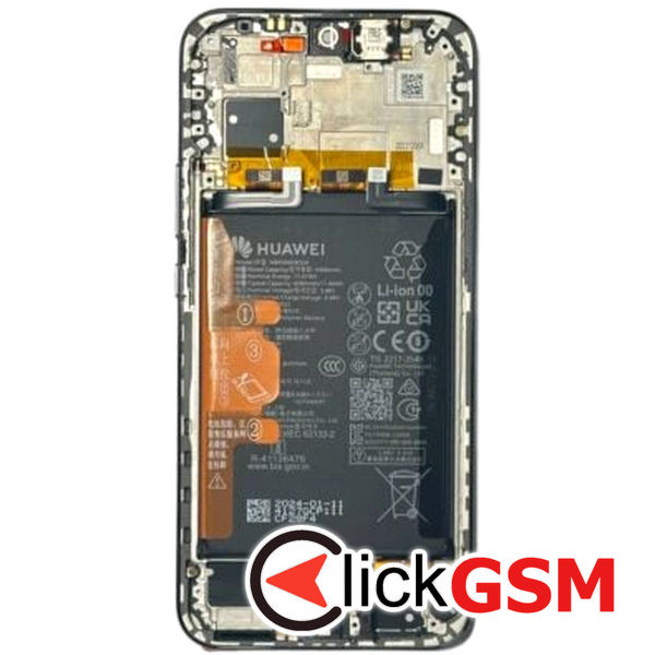 Display Original