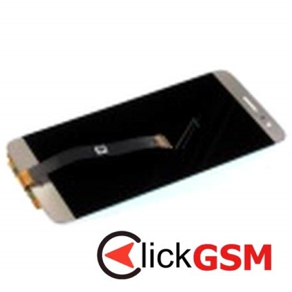 Display Original