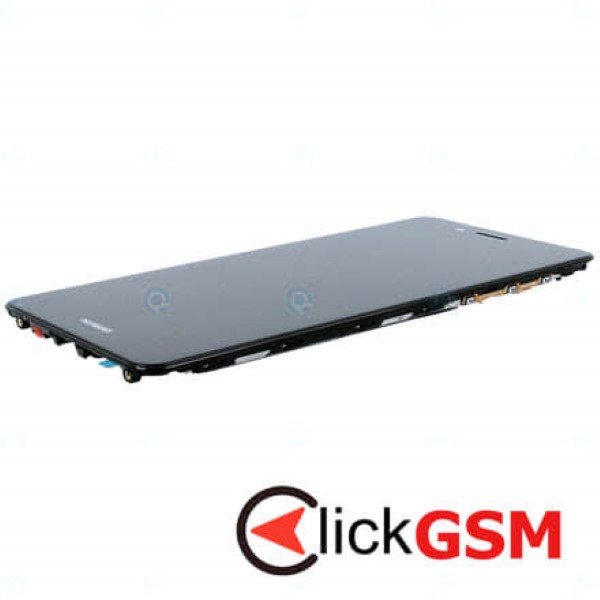 Display Original