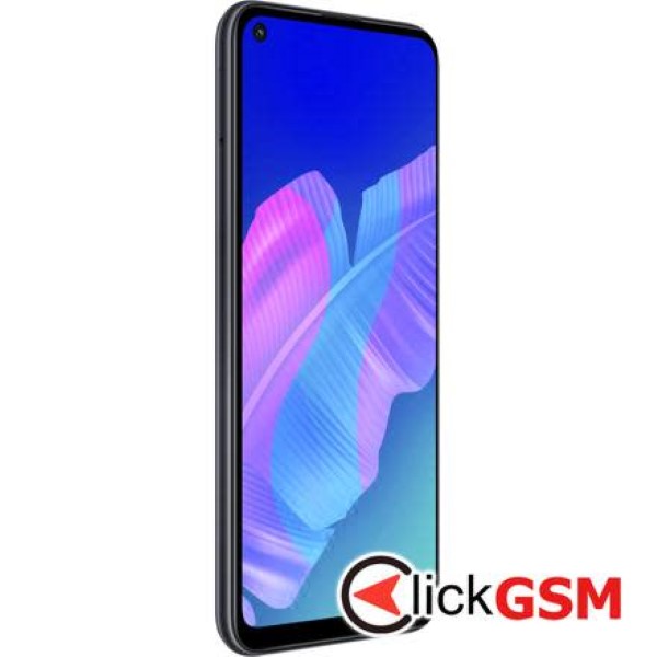 Display Original