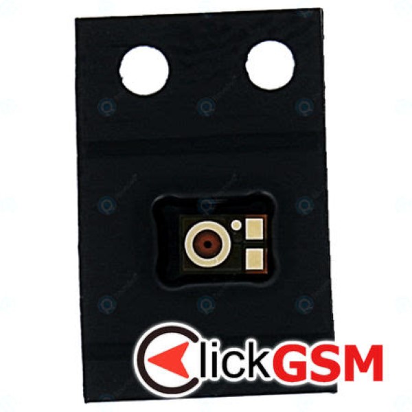 Microfon