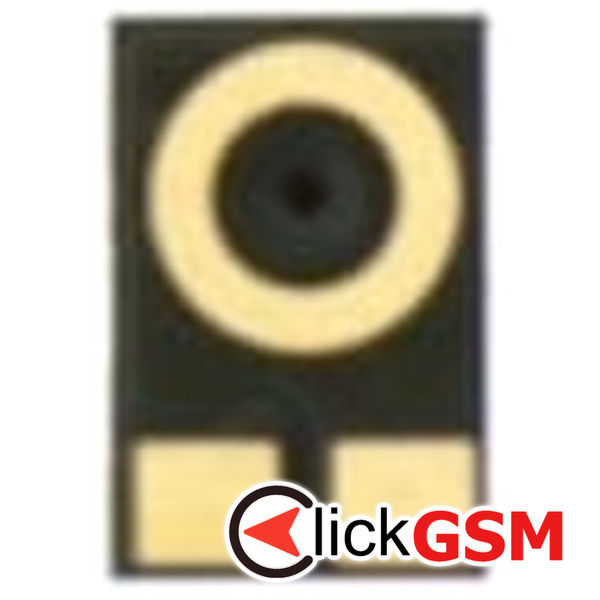 Microfon