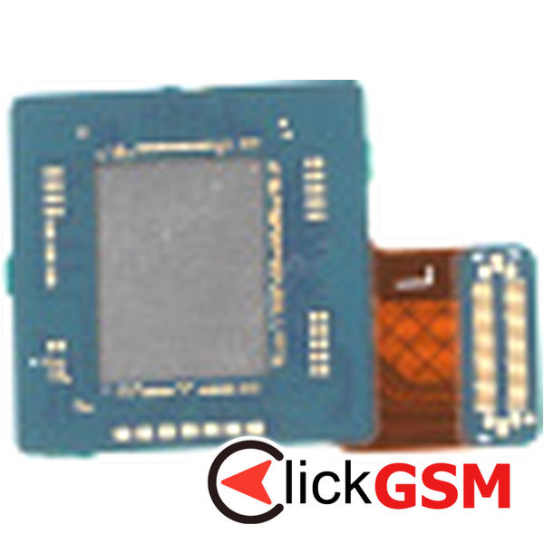 Modul Electronic