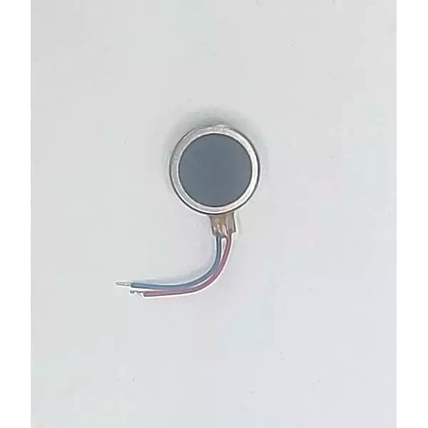 Vibrator
